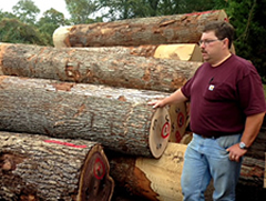 Man standing with logs